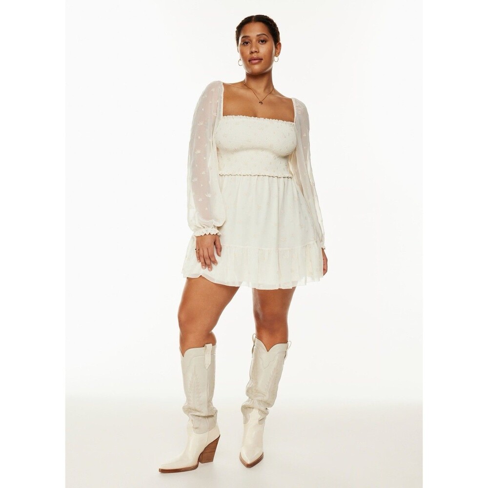 Aritzia Wilfred Tempest Smocked Chiffon Embroidered Mini Dress in Ivory Medium